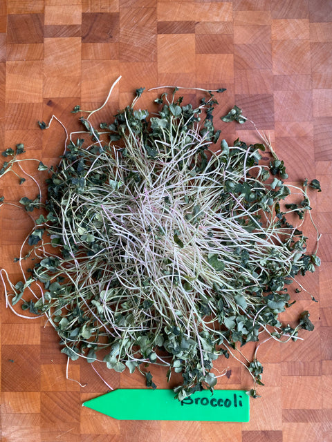 Freeze Dried Broccoli Microgreens - Pixca Greens