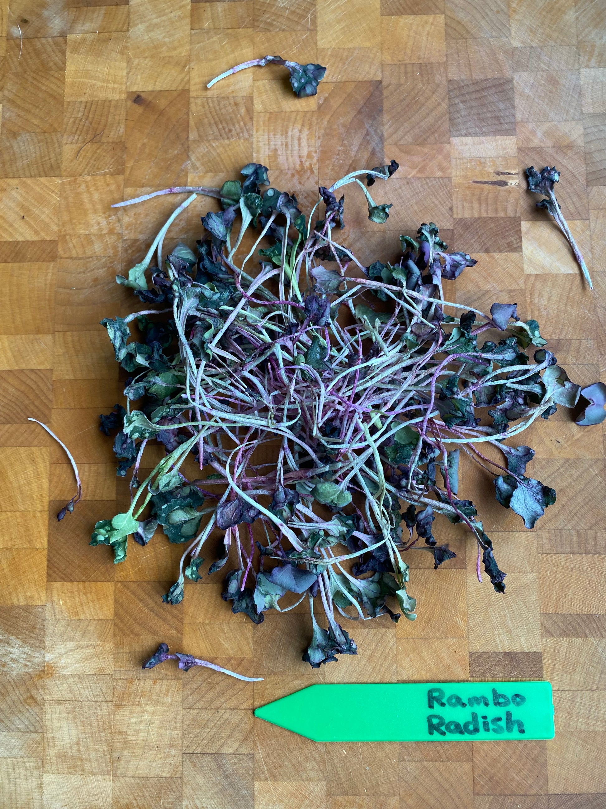 Pixca Greens