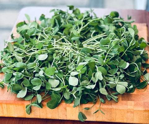 Pea Shoots Microgreens - Pixca Greens